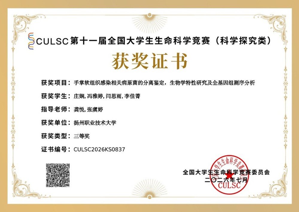12 同类内容